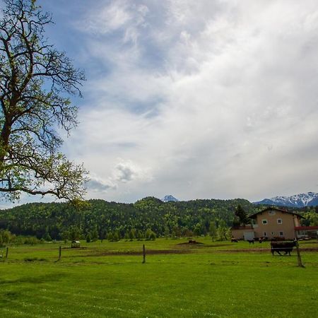 Gaestehaus Dobernig Sankt Niklas an der Drau Buitenkant foto